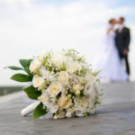 Wedding Venue in Albany, NY