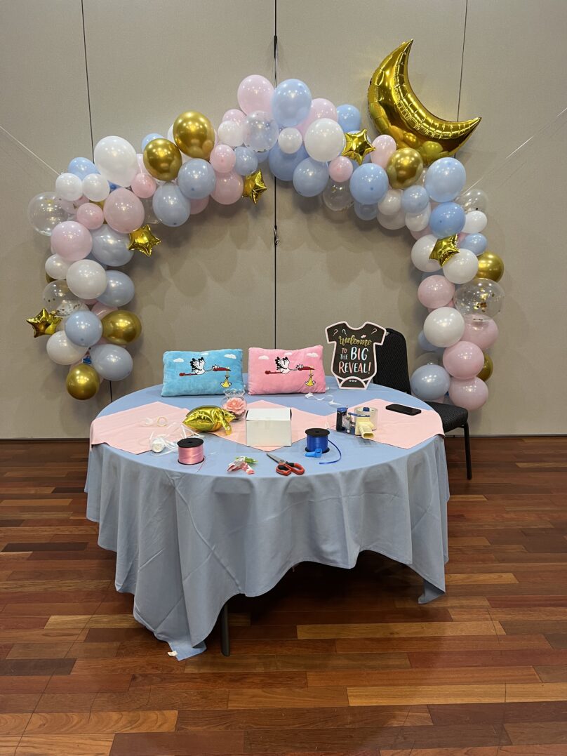 Baby Shower ’23